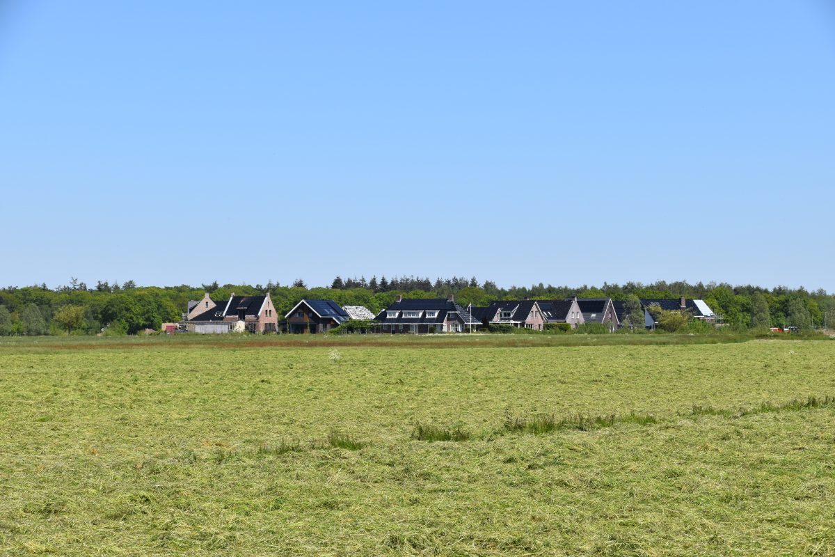 Lunekehaar Delftlanden, Delftlanden, Emmen, Drenthe